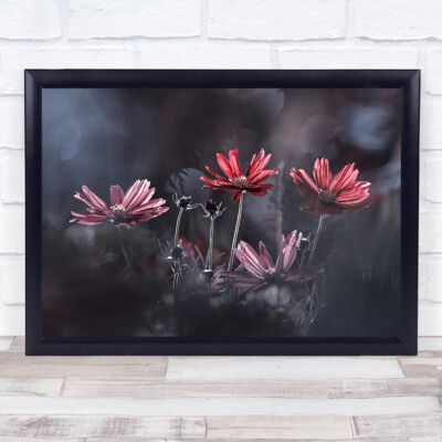 Les Fleurs Du Bien Blume Blumen Garten rot rosa Bokeh L Wandbild Kunstdruck