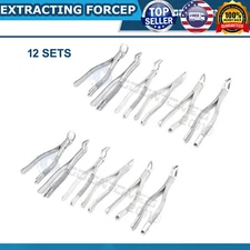 12 SET 6 PC PRO DENTAL TOOTH EXTRACTION FORCEPS  DENTIST LAB TOOLS STAINLESS ODM