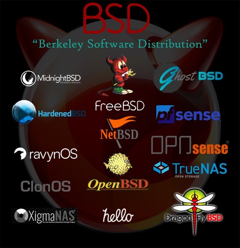 BSD OPERATING SYSTEMS FreeBSD OpenBSD NetBSD Install & Live CD / DVD