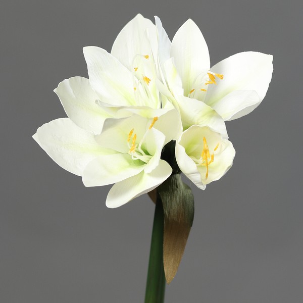 Amaryllis Real Touch 36Cm Weiß Dp Kunstblumen KüNstliche Blumen Pflanzen-image