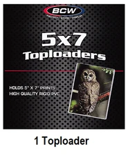 (1) BCW 5 x 7 Toploader Photo Postcard Rigid Oversize Card Holder FREE SHIPPING