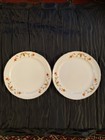 Vintage Superior Hall Quality Dinnerware (2) 9" Luncheon Plate Autumn Leaves — photo 1