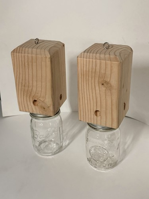 #ad #ad Handmade Carpenter Bee Trap Set of 2 Non Pressure Treated Wood $30.00