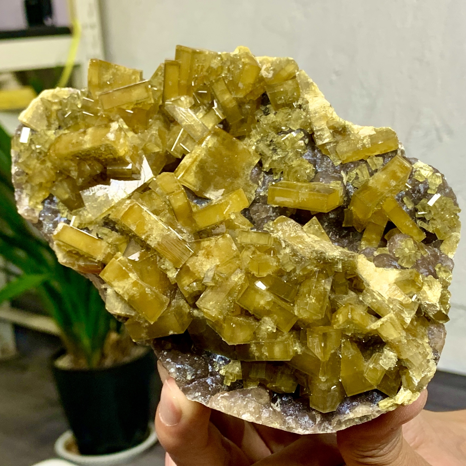 2.94LB Shiny Golden Cuboid Barite Crystal on Purple Spherical Fluorite Base