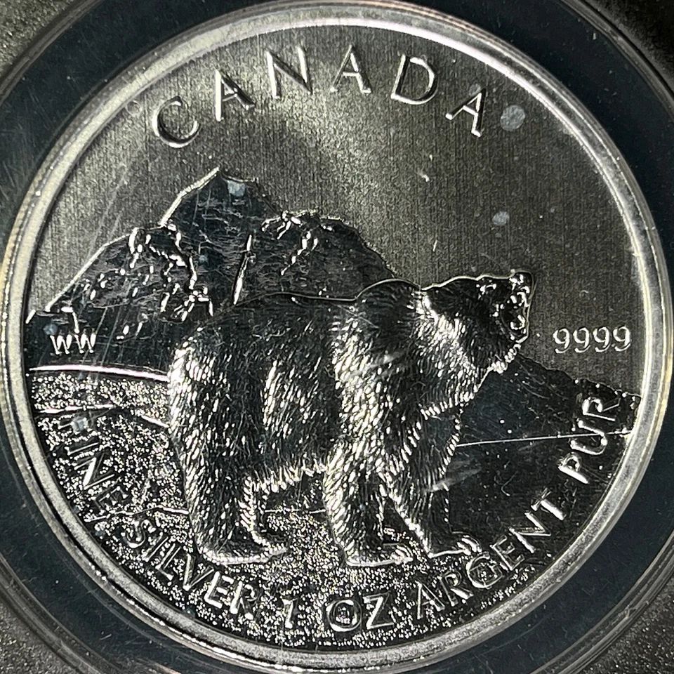 CANADA. 2011, 5 Dollars, Silver - ANACS MS70 - Top Pop 🥇 Grizzly Bear - Image 3 of 4