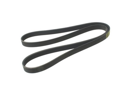 Primary ContiTech Multi Rib Belt fits BMW 745i 2003-2005 38HJTV
