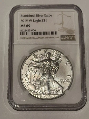 2019 W Burnished Silver Eagle NGC MS69 - Brown Label