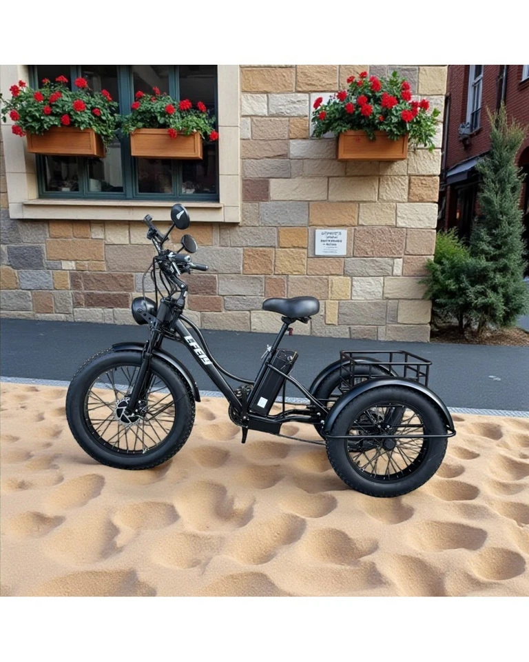 20/24 zoll elektrische dreirad 750W 48V 15Ah fett reifen rad e-dreirad fracht - Bild 4 von 4