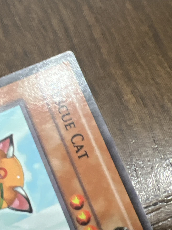 Yu-Gi-Oh! TCG Rescue Cat Flaming Eternity FET-EN033 1st Edition Common LP - Image 2 of 4