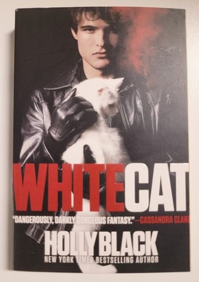 White Cat; 1; The Curse Workers - 9781416963974, Holly Black, paperback