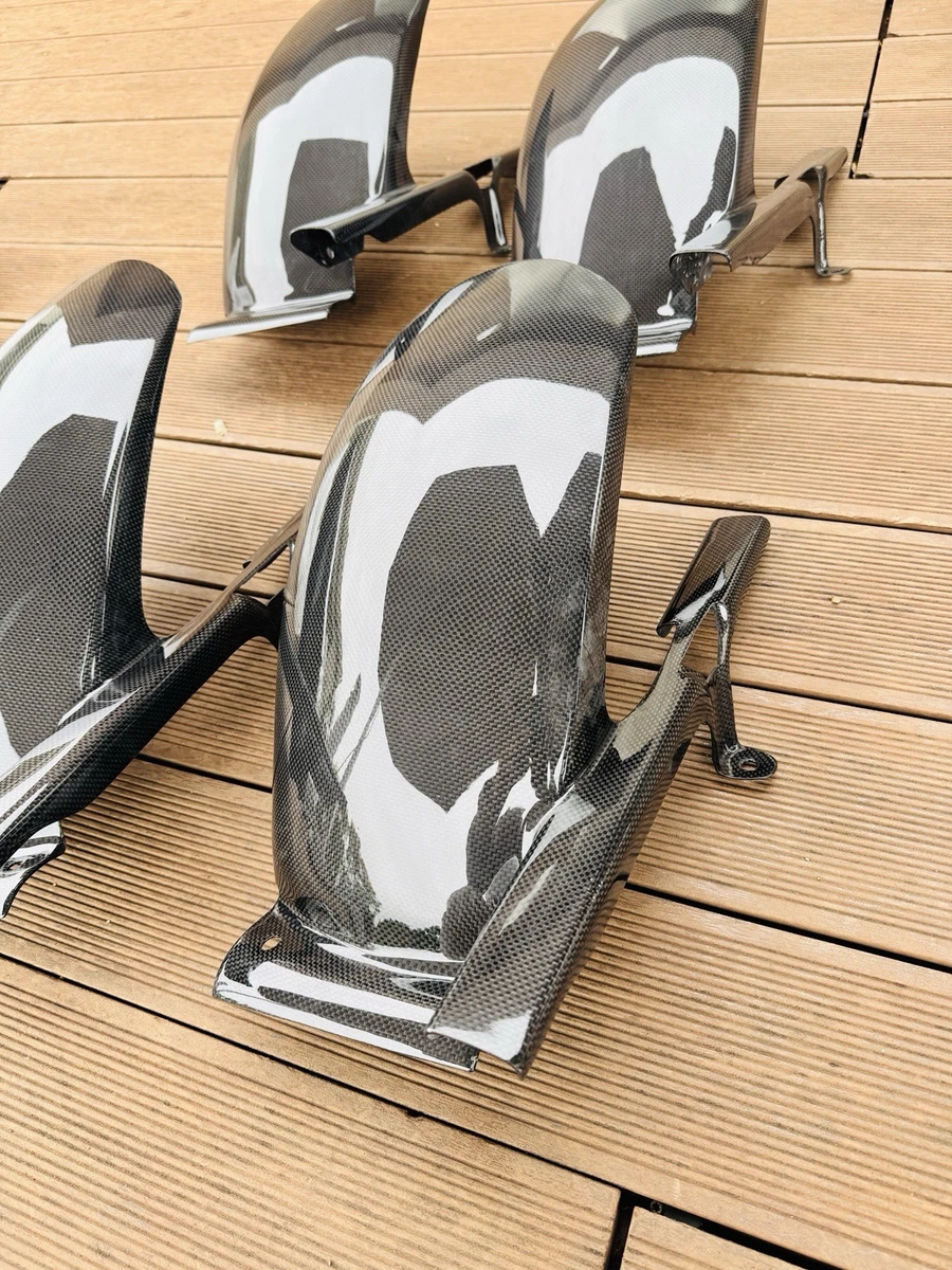 スポルト1000S リヤフェンダー Fenders for Ducati Sport 1000 S for sale | eBay