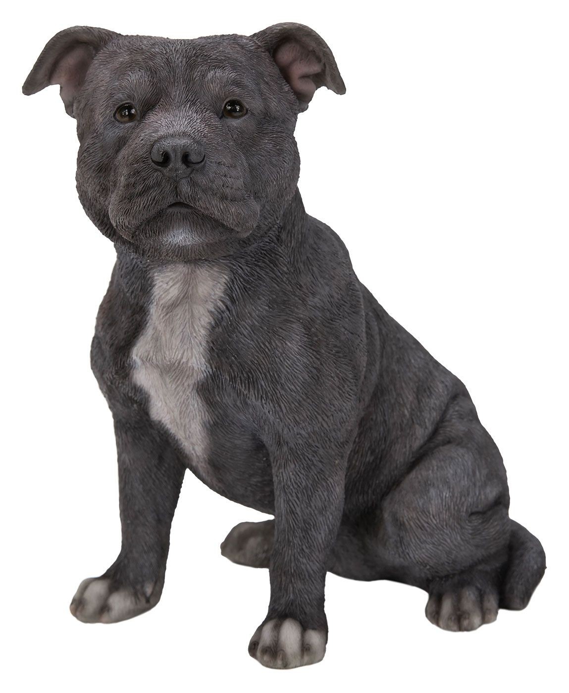 Vivid Arts Staffordshire Terrier Blue Dog - Garden Ornament 19cm Indoor Outdoor