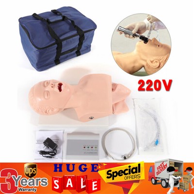 Airway Management Trainer Study Adult Oral Intubation Manikin Teaching Model NEW