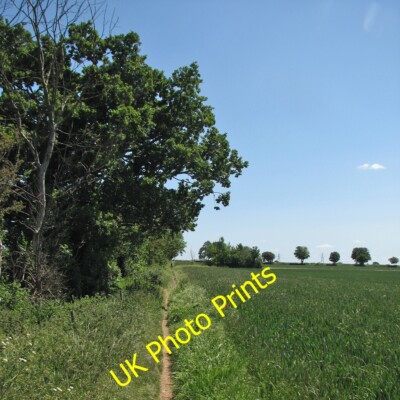 Photo 12x8 Path to Horningsea Road A field-edge path from Baits Bite Lock  c2015