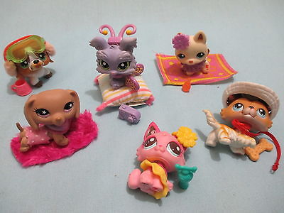 Littlest Pet Shop Lot 5 Random Pcs 1 Dog and 3 Clothing Accessories Lps Gift | eBay Littlest Pet Shop Lot 5 Random Pcs 1 Dog and 3 Clothing Accessories Lps Gift | eBay