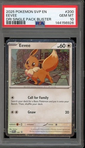 Pokemon Eevee Destined Rivals Blister Pk. Holo Promo SVP EN 200 PSA 10 Gem Mint