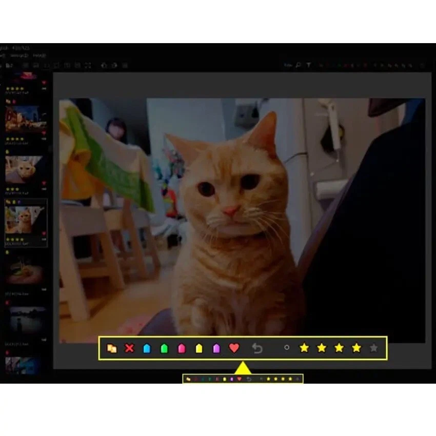 FRANZIS Photo Express Viewer - Bildbetrachter - RAW -TIFF  -PC Download Version - Bild 2 von 4