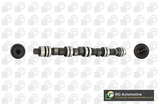 Bga Exhaust Side Intake Side Camshaft For Ford Escort Fiesta Orion Sierra