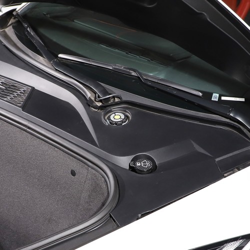 Cubierta de panel de tanque de fibra de carbono real para Corvette C8 2020-25 - Imagen 50 de 176