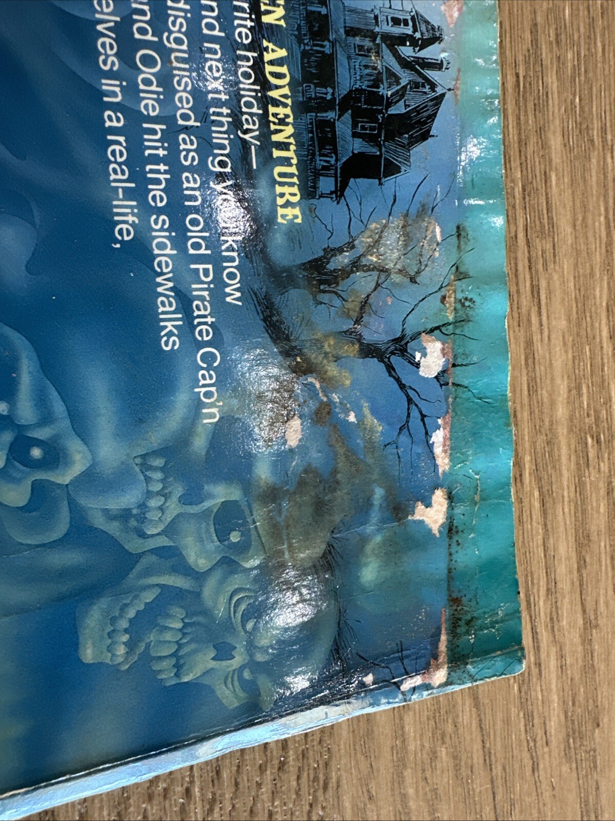 Picture 4 of 19