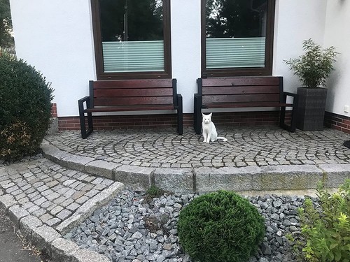 Tischbeine Tischgestell Bankgestell Bankbeine Gartenbank Beine aus Stahl schwarz - Bild 6 von 236