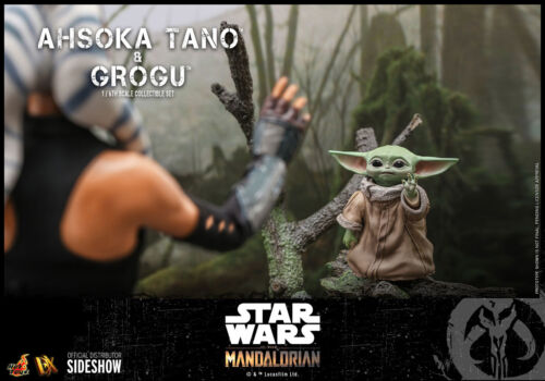 Juego de figuras a escala 1:6 de Hot Toys Star Wars Ahsoka Tano & Grogu The Mandalorian DX21 - Imagen 16 de 18