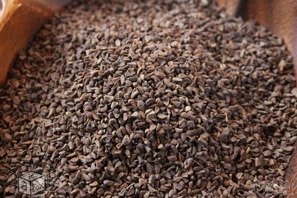 Peganum seed Harmala - Image 3 of 4