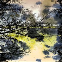 Strength & Power | Roswell Rudd (U. A.) | Audio-Cd | CD | 2016 | 375 Media Gmbh