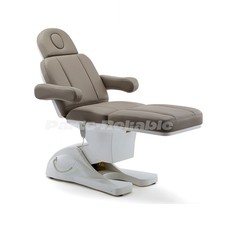 Beauty Bed Electric Massage Table Salon Spa Comfortable Adjust Reclining Chair