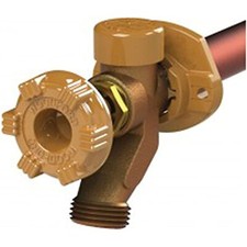 Woodford 17CP-6-MH Model 17 Wall Faucet, 6-In...