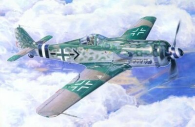 Mistercraft C-09 Focke-Wulf Fw-190D-9 Michaelski in 1:72 Neu in OVP