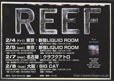 Reef - 2001 Japan concert flyer tour handbill small poster britpop Gary Stringer