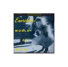 VINTAGE 1995 EVERCLEAR WORLD OF NOISE