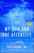 My Son and the Afterlife: Conversations from the Other Side - VERY GOOD