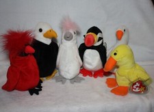 TY Beanie Babies 6 Birds Lot- Baldy, Mac, Puffer, KuKu, Gracie, Quackers