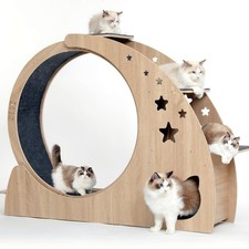 5-in-1 Cat Wheel,Cat Exercise Wheel,41.3" High Large Cat Wheels for Indoor Ca...