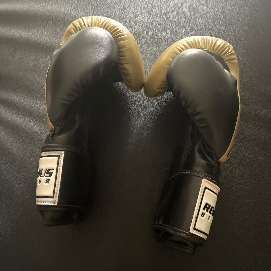 rebellious behavior ボクシンググローブ　８オンス Rebellious Behavior Boxing Gloves 8 Oz | eBay