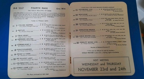 TARJETA DE CARRERA DE HAYDOCK PARK, 4 DE NOVIEMBRE DE 1966 - REUNIÓN DE NOVIEMBRE, UNA TARJETA MIXTA - Imagen 4 de 7