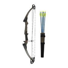 Genesis Original Archery Compound Bow and Arrow Set, Draw Hand-Right, Teal