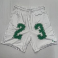 Jordan Essentials Men's Graphic Mesh Basketball Shorts Size Medium NWT