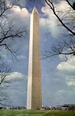 Washington Monument, cherry blossoms, 555 feet, Kodachrome Postcard