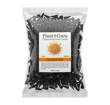 1000 Charcoal Incense Cones 1" TOPFLOW Bulk Wholesale Handmade For Burner Holder