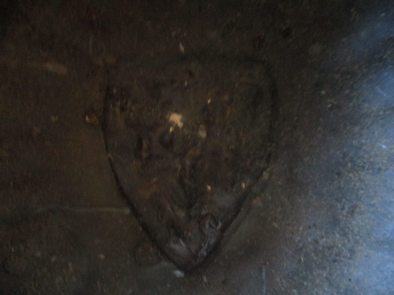 Bild 10 von 13