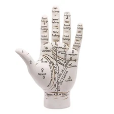 Large Palmistry Hand Model 9.5" Resin NEW Sculpture Fortune Telling Palm Reading