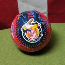 TOLEDO MUD HENS psychedelic souvenir baseball Muddy classic mascot WB official