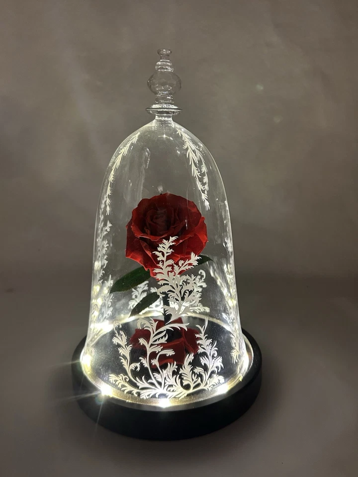 REAL Preserved Forever Rose Beauty & Beast Birthday Valentine's Day Special Gift - Image 2 of 4