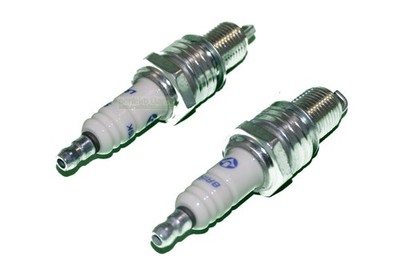 2 X Spark plug for Brast BRB-RM-16100 / Arebos AR-HE-RM196 lawn mower