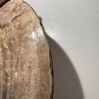Picture 7 of 24