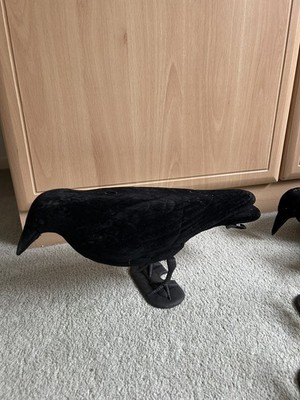 Beflockte Krähe Ganzkörper Lockvogel Turm Rabe Schießen Jagd mit Füßen & Stockhering