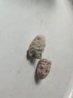 Dug Civil War era "chewed"  bullets